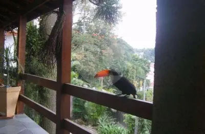 Casa térrea com 3 quartos à venda em vila albertina - sp