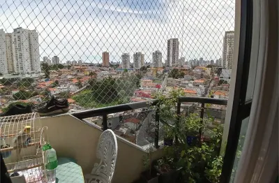 Apartamento com 3 quartos à venda em lauzane paulista - sp