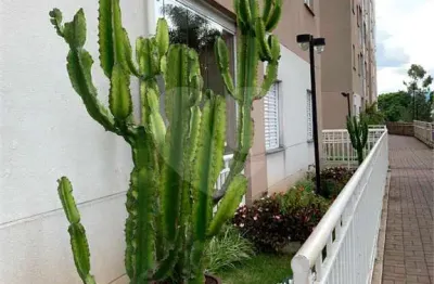 Apartamento com 2 quartos à venda em vila amália (zona norte) - sp