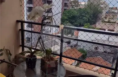 Apartamento com 3 quartos à venda em santa teresinha - sp