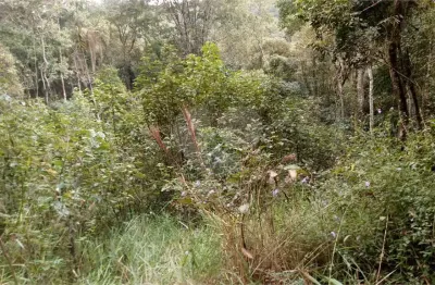 Terreno à venda na Serra da Cantareira, Mairiporã 