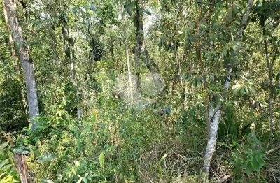 Casa em condomínio fechado à venda na Vereador Belarmino Pereira De Carvalho, 8501, Roseira, Mairiporã