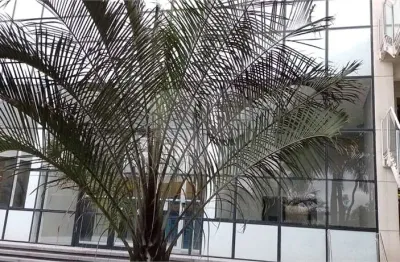 Apartamento com 2 quartos à venda em jardim são paulo(zona norte) - sp