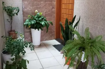 Sobrado com 3 quartos à venda em vila maria alta - sp