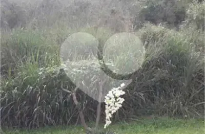 Casa em condomínio fechado à venda na Serra De Bragança, S/N, Rio Abaixo, Mairiporã