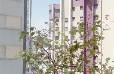 Apartamento com 3 quartos à venda em jardim das laranjeiras - sp