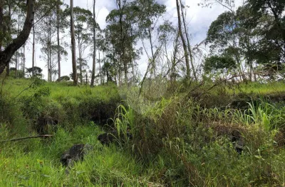 Terreno à venda na Serra da Cantareira, Mairiporã 