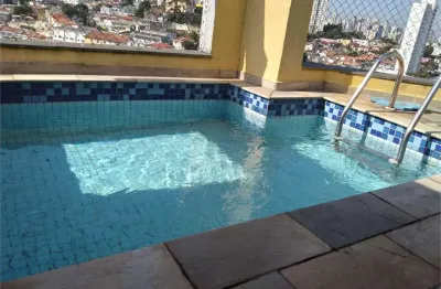 Apartamento com 3 quartos à venda em parque mandaqui - sp