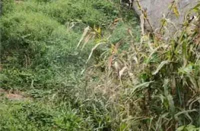Terreno à venda na Rua João Mendes de Almeida Neto, Tremembé, São Paulo