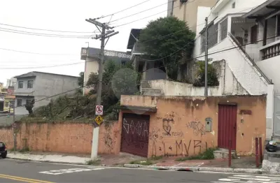 Casa com 3 quartos à venda na Avenida Dona Mariana Caligiori Ronchetti, Horto Florestal, São Paulo