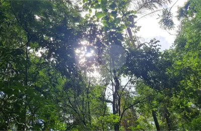 Terreno à venda no Caraguatá, Mairiporã 