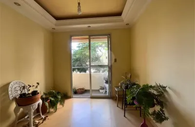 Apartamento com 3 quartos à venda em vila nova cachoeirinha - sp