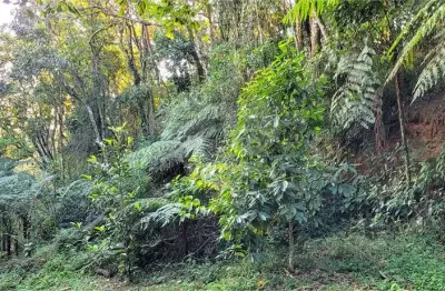 Casa em condomínio fechado à venda na Serra da Cantareira, Mairiporã 