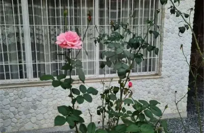 Casa com 4 quartos para alugar na Casa Verde, São Paulo 
