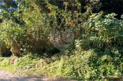 Terreno em condomínio fechado à venda no Caraguatá, Mairiporã 