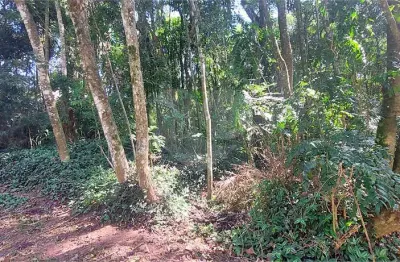 Terreno em condomínio fechado à venda no Caraguatá, Mairiporã 