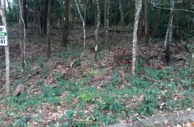 Terreno em condomínio fechado à venda no Caraguatá, Mairiporã 