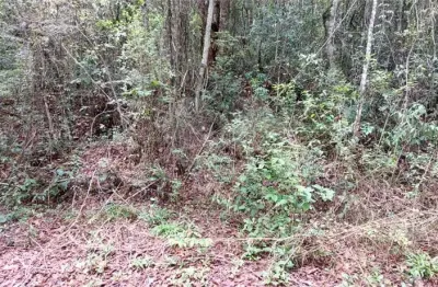 Terreno em condomínio fechado à venda na Serra da Cantareira, Mairiporã 