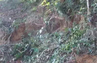 Terreno em condomínio fechado à venda na Estrada Jardim da Serra, 1011, Serra da Cantareira, Mairiporã