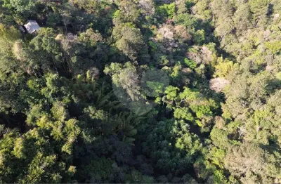 Terreno em condomínio fechado à venda na Avenida dos Guarantans, 530, Serra da Cantareira, Mairiporã