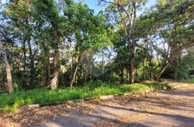 Terreno em condomínio fechado à venda na Das Gaivotas, 21, Serra da Cantareira, Mairiporã