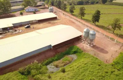 Chácara / sítio à venda na avenida perimentral, zona rural, marilena, 5 m2 por r$ 9.000.000