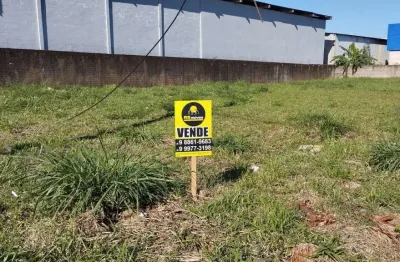 Terreno comercial à venda na Rua Vitorio Zanin, Jardim Bela Vista, Paiçandu