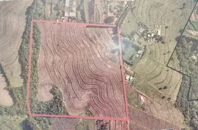 Chácara / sítio à venda na Estrada São Bento, Jardim São Domingos, Maringá