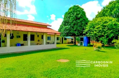 Chácara / sítio com 5 quartos à venda na Rua Pedro Antônio, 893, Sape I, Caçapava