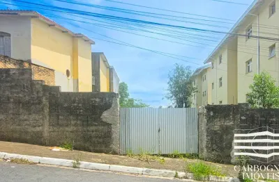 Terreno comercial para alugar na Rua João Araújo, Parque Residencial Maria Elmira, Caçapava
