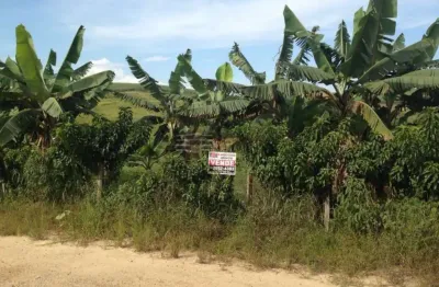 Chácara / sítio com 1 quarto à venda na Rua Aníbal José Faria, Sítio, Guamirim, Caçapava