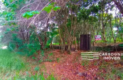 Chácara / sítio com 1 quarto à venda na Alameda das Paineiras, L5, Caçapava Velha, Caçapava