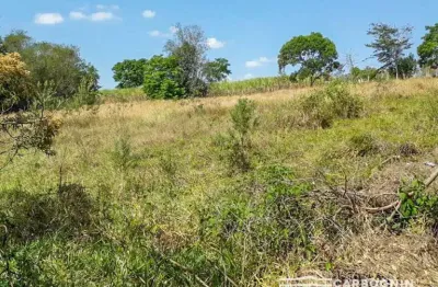 Chácara / sítio com 1 quarto à venda na Estrada Municipal Do Guadalupe, S/N, Jardim Guadalupe, Caçapava