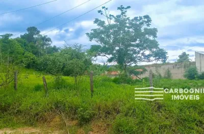 Chácara / sítio com 1 quarto à venda na Avenida Jequitibá, S/N, Vila Velha, Caçapava