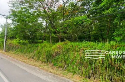 Terreno à venda na Rodovia Doutor Edmir Viana Moura, SP062, Santa Luzia, Caçapava