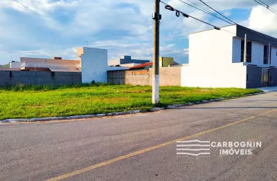 Terreno à venda na Rua Ford, LOTE61, Parque do Museu, Caçapava