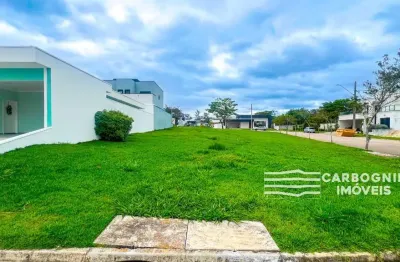 Terreno em condomínio fechado à venda na Avenida das Palmeiras, Quadra 10 , Condomínio Terras do Vale, Caçapava