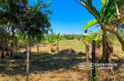 Chácara / sítio com 1 quarto à venda na Rua Santa Luzia, s/n, Santa Luzia, Caçapava