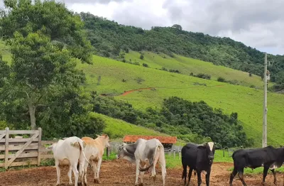 Munhoz/mg rural fazenda com 60 alqueires, divisa com socorro/sp