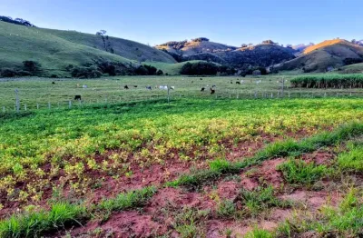 Fazenda com 106 alqueires (2.565.200 m2), em silveiras/sp preço de ocasião