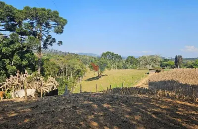Chácara para venda em mandirituba de 100.00m² com 2 quartos e 5 garagens