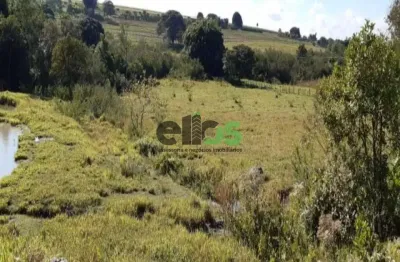 Fazenda / sítio para venda em jardim amália de 48800.00m² com 1 quarto