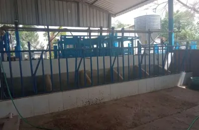 Fazenda / sítio para venda em floresta encantada de 760000.00m² com 6 quartos e 15 garagens