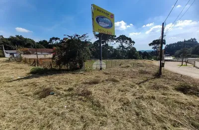 Terreno à venda na Estrada Da Ribeira Br-476, Guarani, Colombo