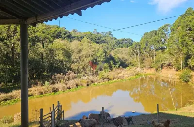Chácara para venda em contenda de 130.00m² com 4 quartos