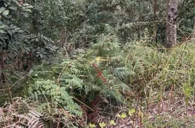 Terreno en condomínio para venda em loteamento capital ville de 709.00m²