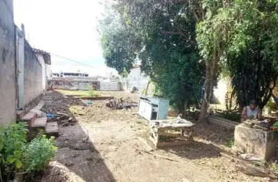 Terreno comercial para alugar na Rua Doutor Presciliano Pinto, ***, Boa Vista, São José do Rio Preto