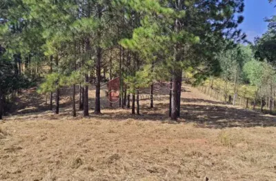 Terreno para venda em parque espelho d'água de 3158.00m²