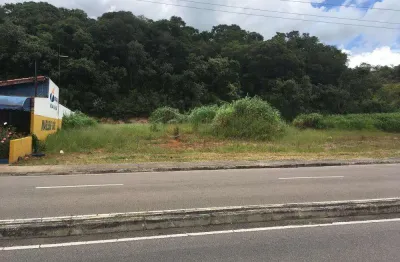 Lote / terreno para venda em engordadouro de 1361.00m²