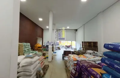 Galpão / depósito / armazém para alugar em felícia de 170.00m² com 2 garagens